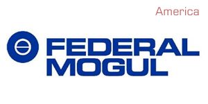 federal mogul